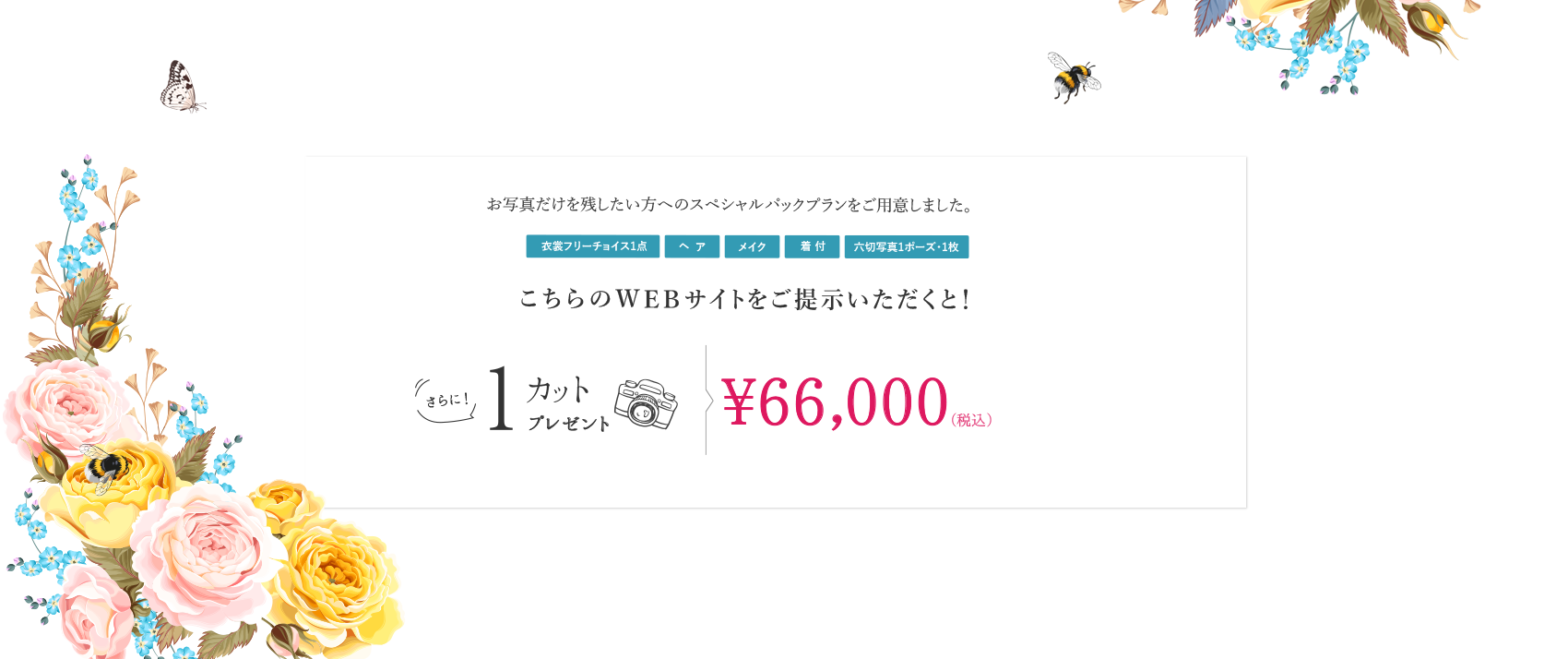 お写真だけを残したい方へのスペシャルパックプランをご用意しました